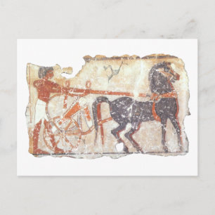 Horse and Chariot Postcard