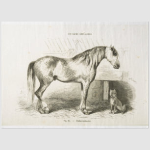 Horse and Dog Ephemera Decoupage Vintage French Tissue Paper