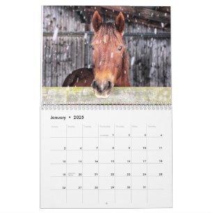 Horse and donkey calendar 2025
