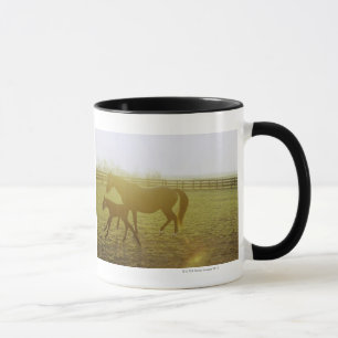 Horse and foal running in pasture mug