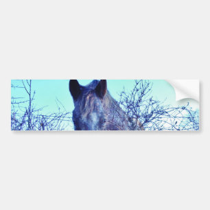 Horse and Heart Bumper Sticker