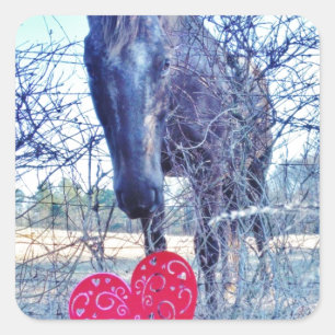 Horse and Heart Square Sticker