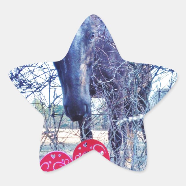 Horse and  Heart Star Sticker (Front)