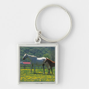 Horse and her foal standing in a field keychain