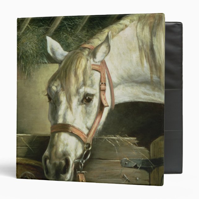 Horse and kittens, 1890 binder (Front/Inside)