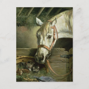 Horse and kittens, 1890 postcard