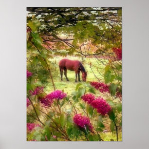 Horse and Lilacs Poster
