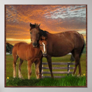 Horse and poney poster