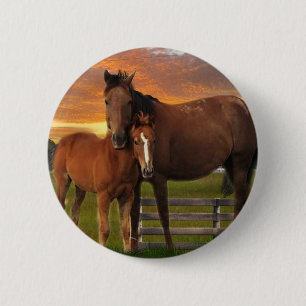 Horse and pony 2 inch round button