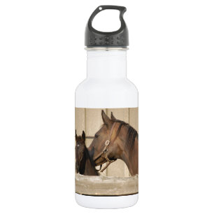 Horse and Pony 532 Ml Water Bottle