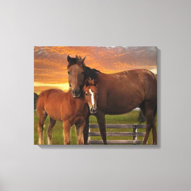Horse and pony canvas print (Front)
