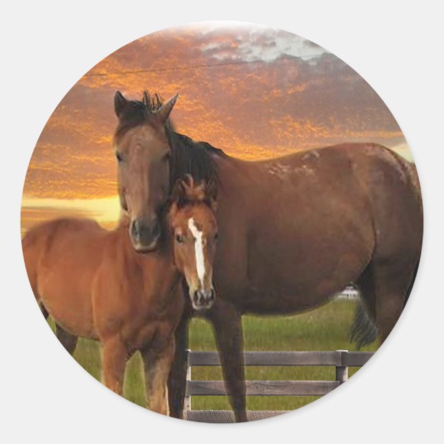 Horse and pony classic round sticker (Front)
