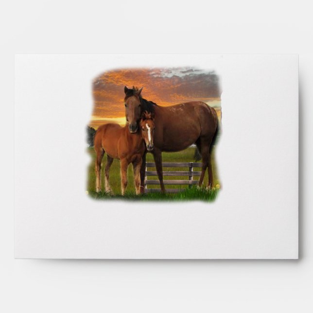 Horse and pony envelopes (Front)