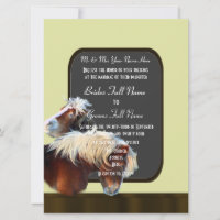 Horse and pony equestrian wedding