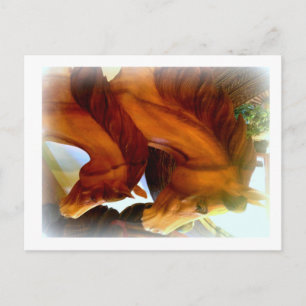 horse and pony postcard