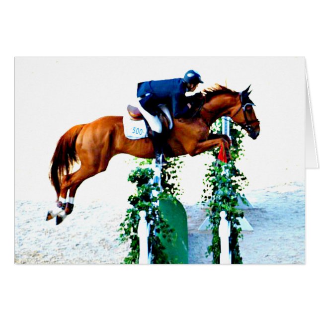 Horse and Rider in the Jumper Ring (Front Horizontal)