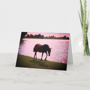 Horse and Sunny Lake Blank Card