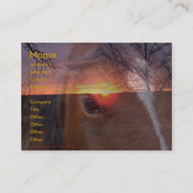 Horse and Sunrise Business Card (Front)