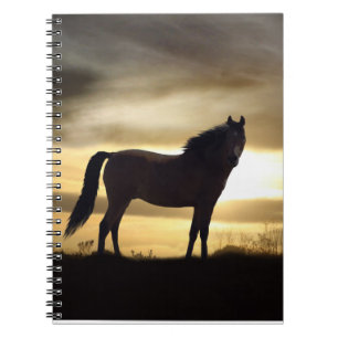 Horse and Sunset Notebook