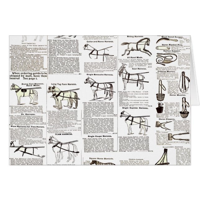 Horse Antique Advertising Newspaper Art (Front Horizontal)