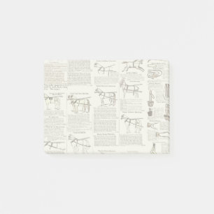 Horse Antique Advertising Newspaper Art Post-it Notes
