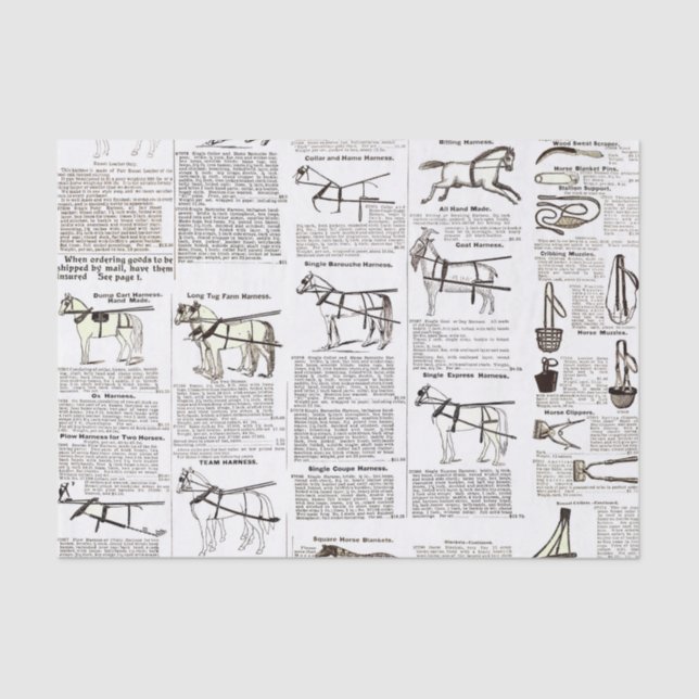 Horse Antique Advertising Newspaper Art Tissue Paper (Front)