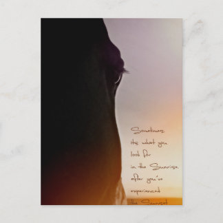 Horse art and inspiring quote postcard