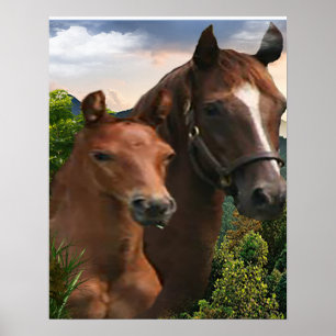 Horse art poster