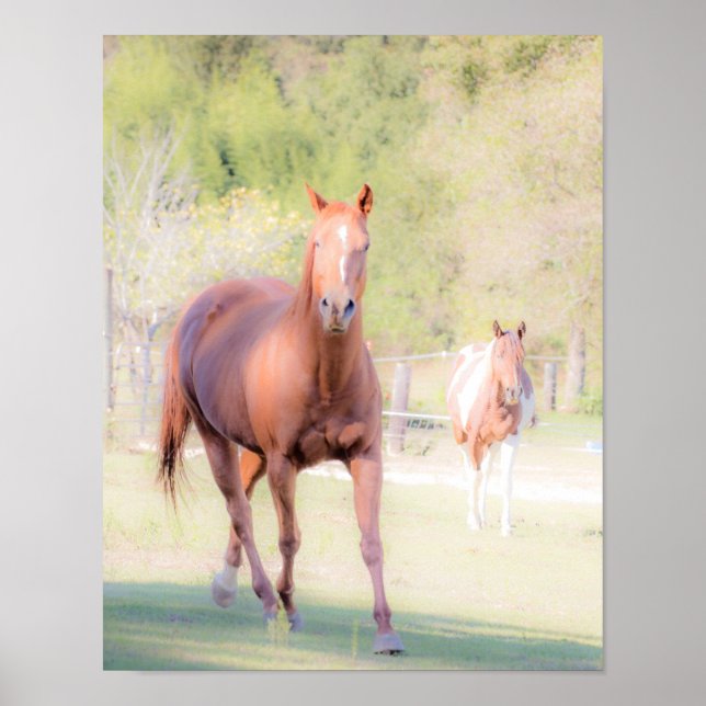 Horse Art Poster (Front)