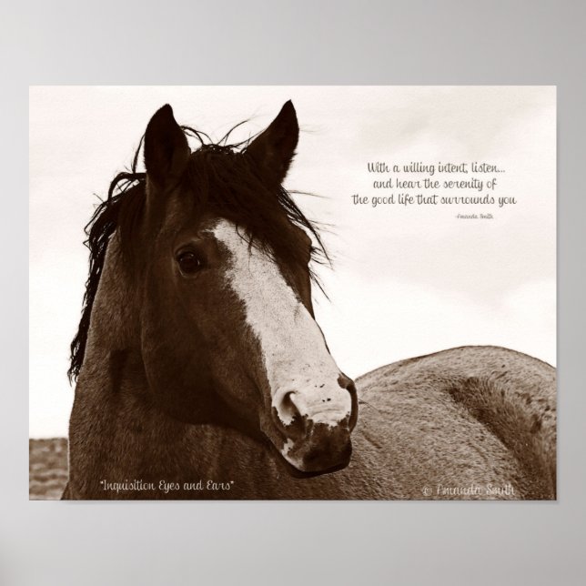 Horse Art Poster With Inspirational Quote 11x14 (Front)