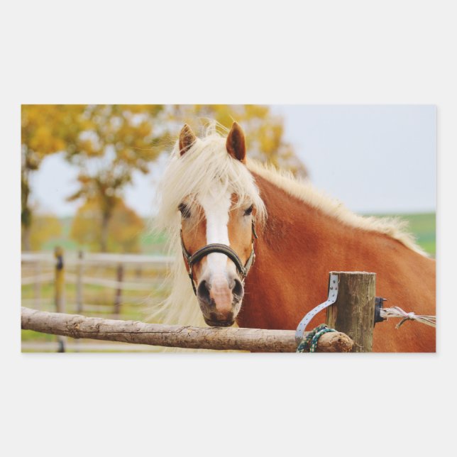 Horse At Gate Sticker (Front)