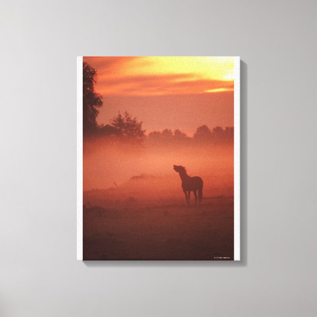 Horse at sunrise canvas print (Front)