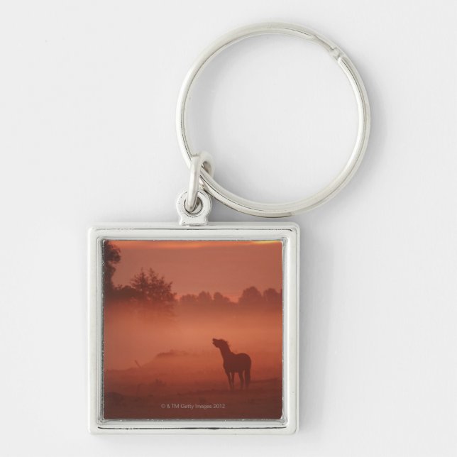 Horse at sunrise keychain (Front)