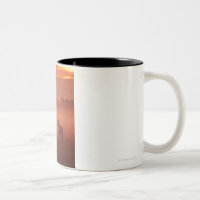 Horse at sunrise