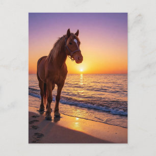 Horse at Sunset on the Beach Coastal Postcard