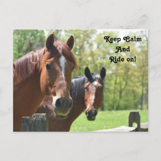 Horse back riding postcard