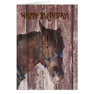 Horse & barn looking at you birthday greeting card