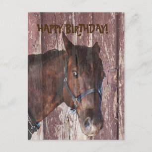 Horse & barn looking at you birthday greeting card