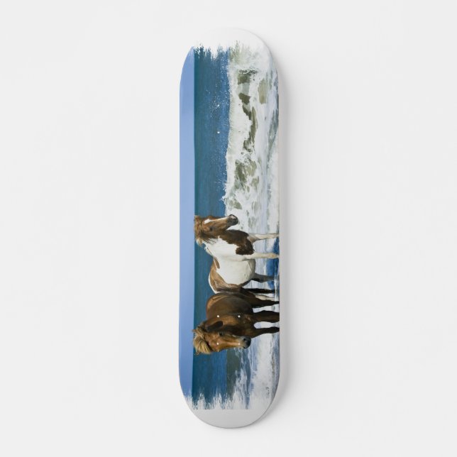 Horse Beach Skateboard (Front)