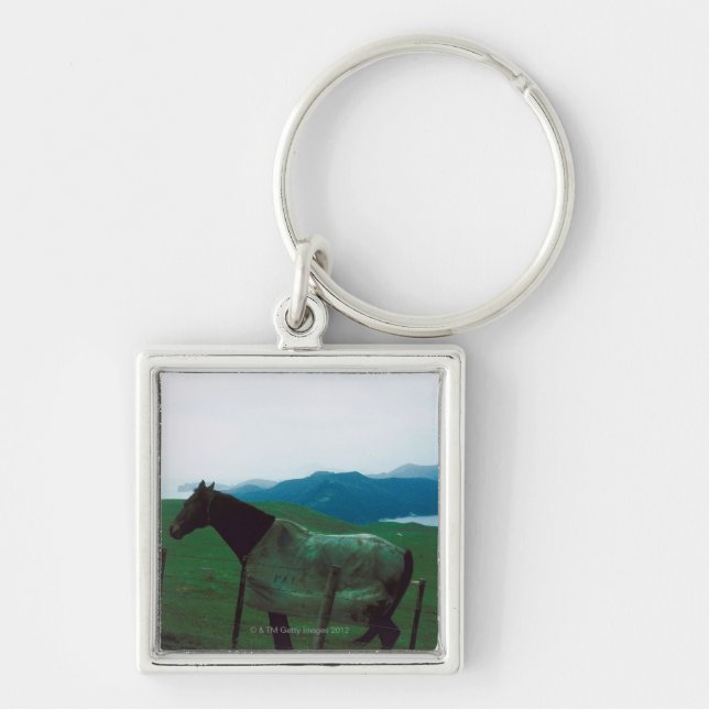 Horse behind fence keychain (Front)