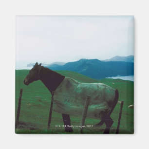 Horse behind fence magnet