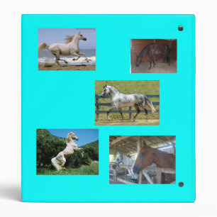 Horse Binder