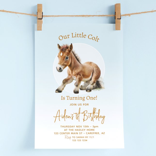 Horse Birthday Boys 1st Invitation (Creator Uploaded)