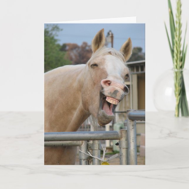 Horse Birthday Card (Front)