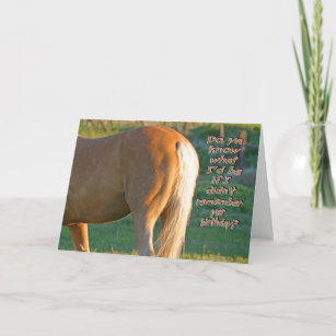 Horse Birthday Card--Funny Men's Card