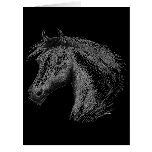 Horse:  Black (Front)