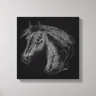 Horse:  Black Canvas Print