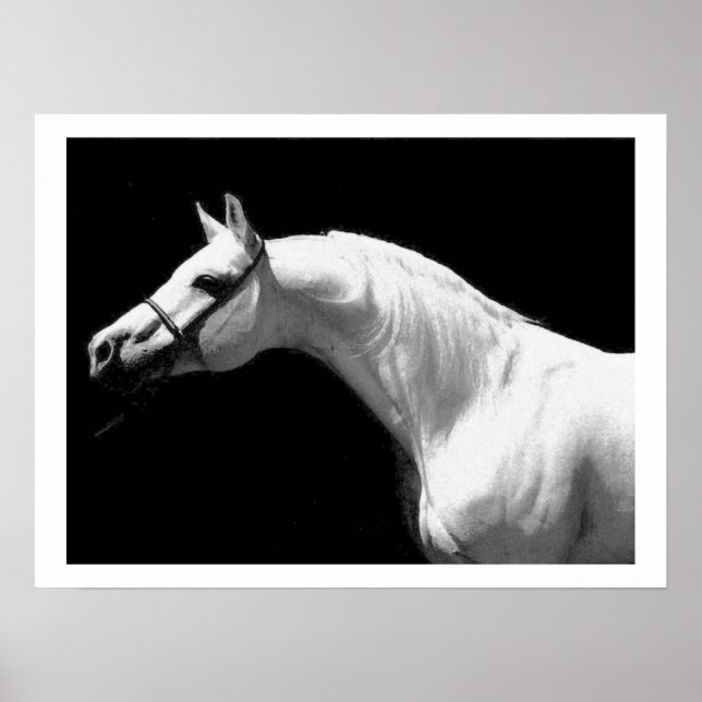 Horse Black & White Poster (Front)