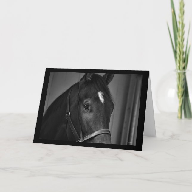 Horse blank card template note card (Front)