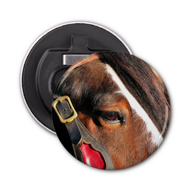 HORSE BOTTLE OPENER (Front)